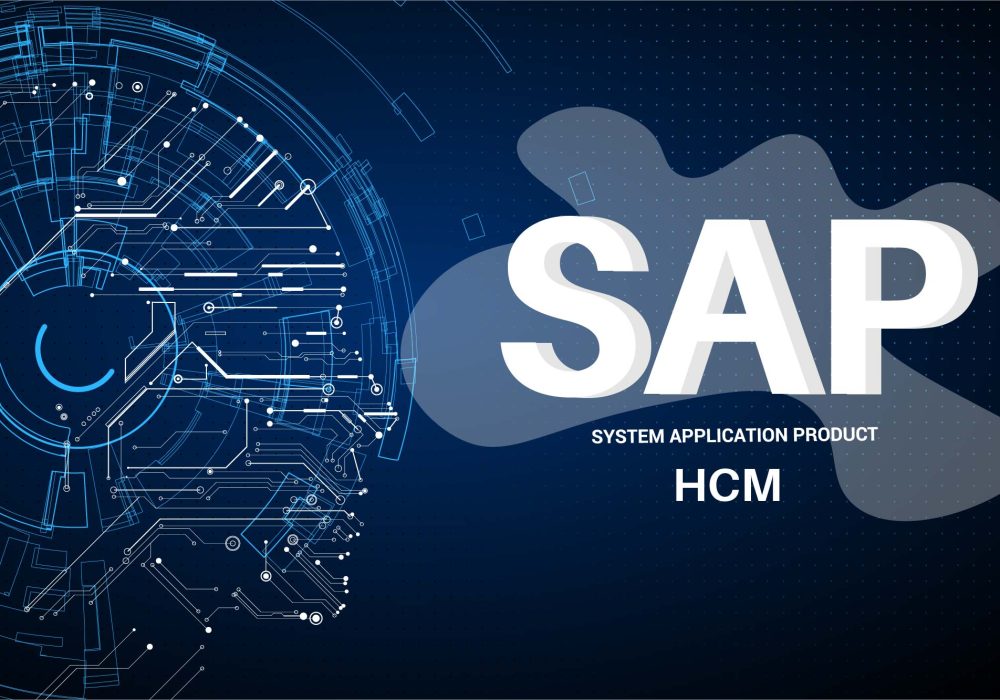 SAP HCM Module Interface
