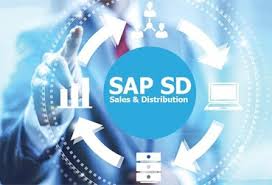 SAP SD Module interface showcasing sales and distribution processes